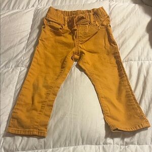 Gap boys mustard jeans